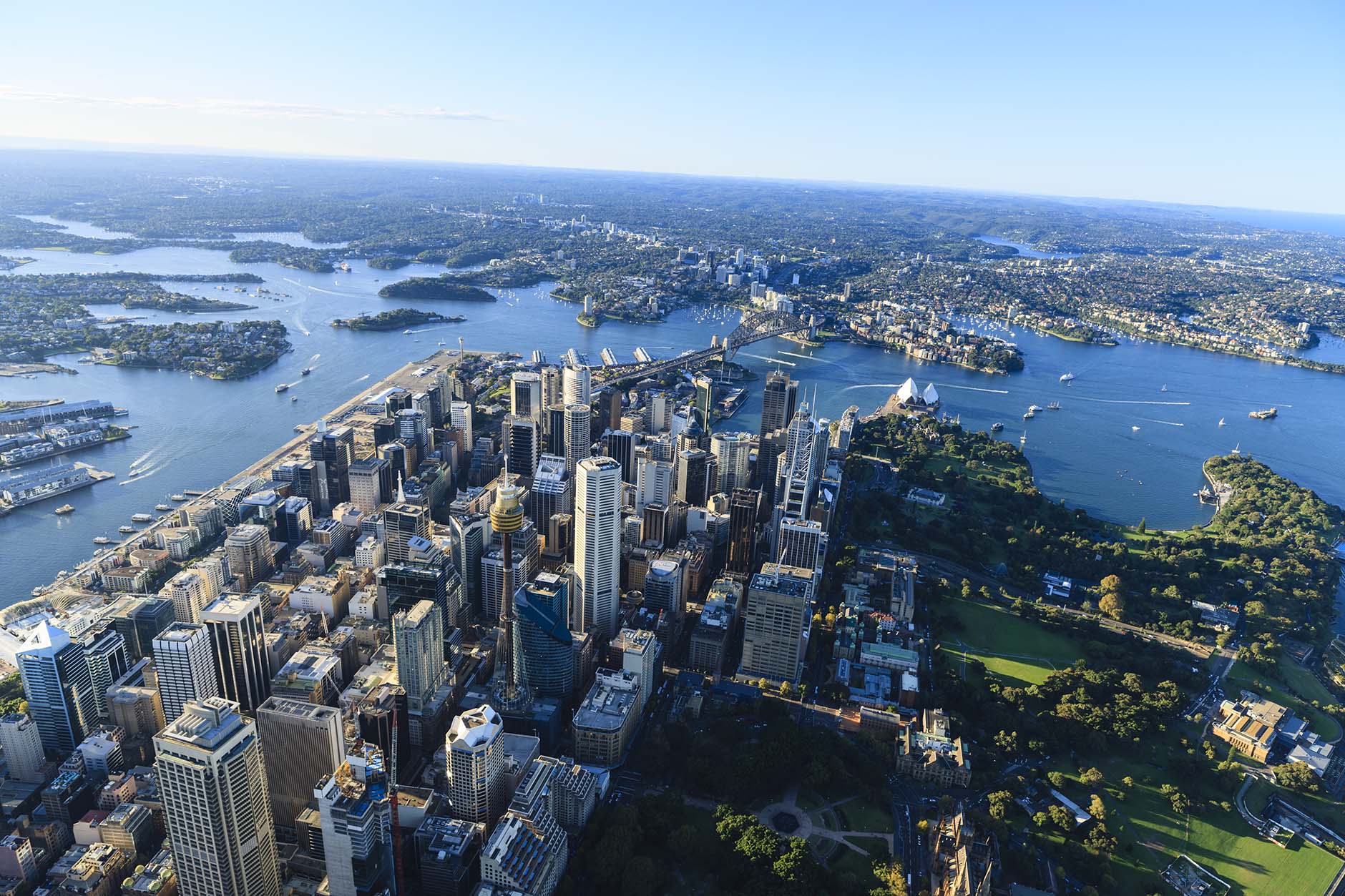 Commercial Market Update - North Sydney Cityscope January 2022