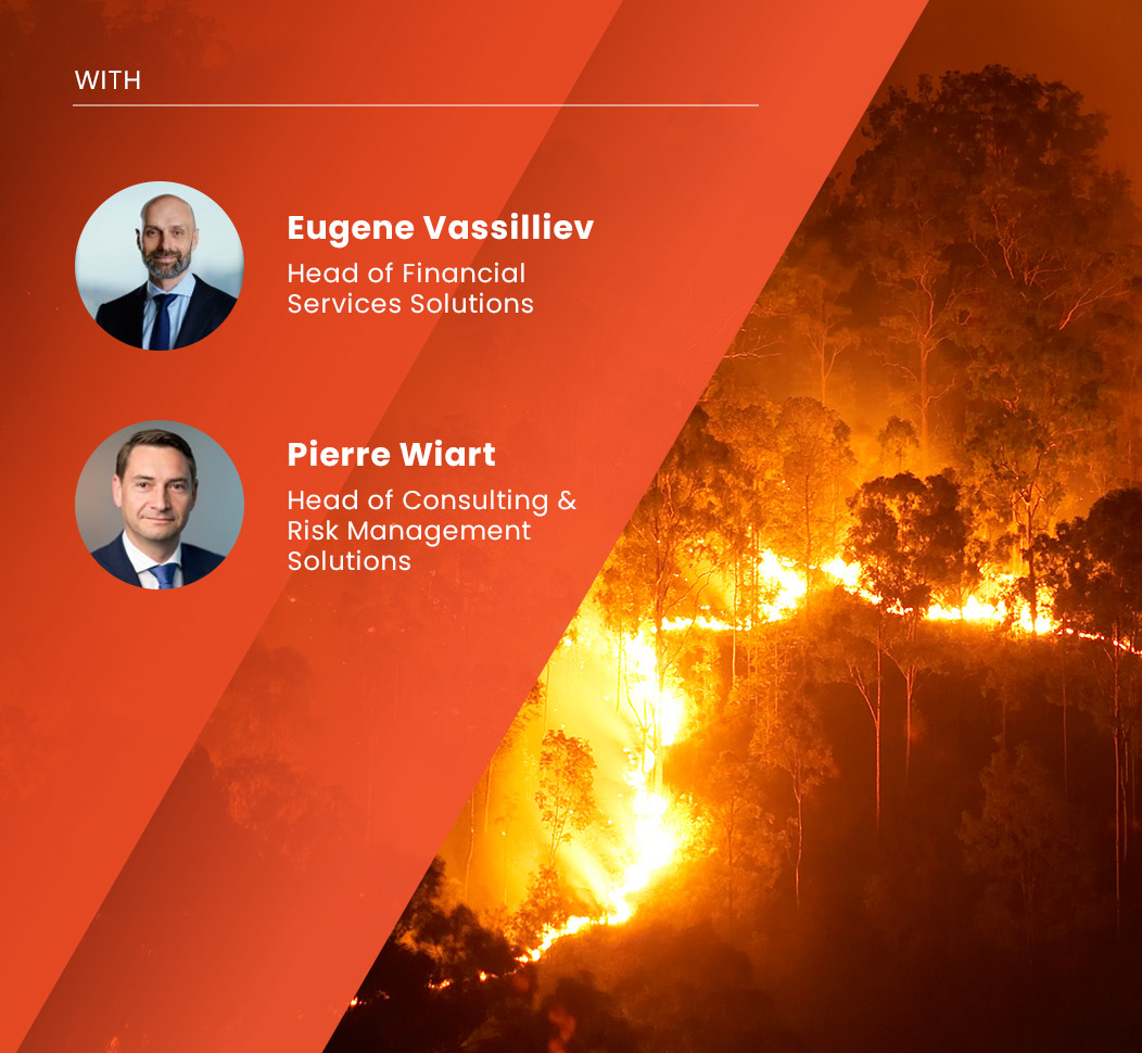 Black Summer Bushfires webinar preview