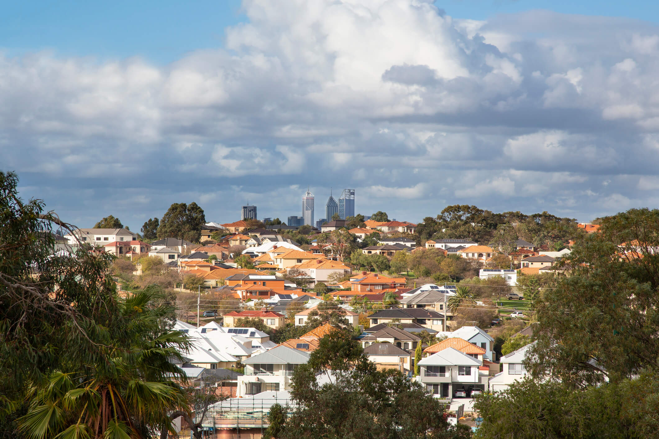 Vendor and buyer activity high, except in Victoria and Tasmania