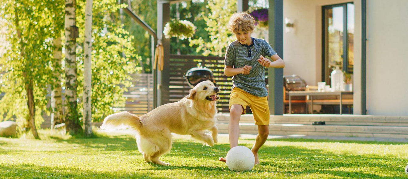 young boy playing with dog in backyard